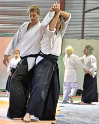 Aïkido stage le calendrier des stage aïkido traditionnel