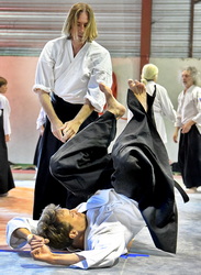 Aïkido stage le calendrier des stage aïkido traditionnel