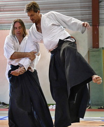 Aïkido stage le calendrier des stage aïkido traditionnel