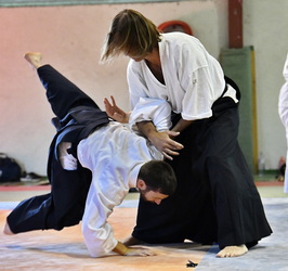 Aïkido stage le calendrier des stage aïkido traditionnel