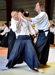 Aïkido stage le calendrier des stage aïkido traditionnel