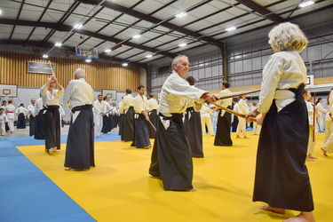 Vidéos aïkido traditionnel 