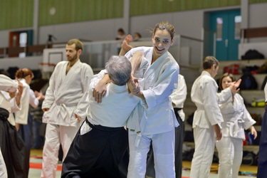 Vidéos aïkido traditionnel 