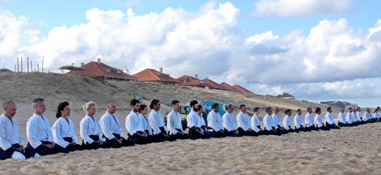 Vidéos aïkido traditionnel 