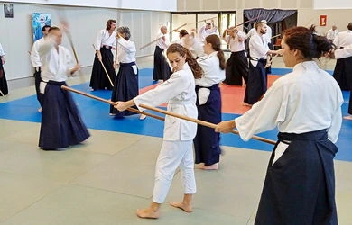  Aïkido Léon et Lesperon cours d'essai, découverte, semaine portes ouvertes
