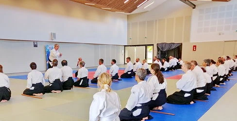 Diapo Léon stage aïkido traditionnel 