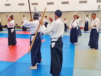  Aïkido Léon et Lesperon cours d'essai, découverte, semaine portes ouvertes
