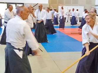  Aïkido Léon et Lesperon cours d'essai, découverte, semaine portes ouvertes